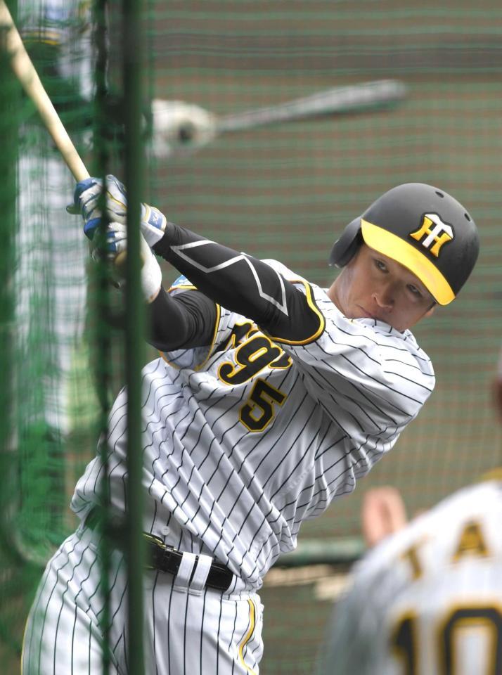 　打撃練習を行う近本