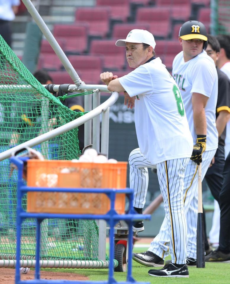 打撃練習を見守る岡田監督（撮影・伊藤笙子）