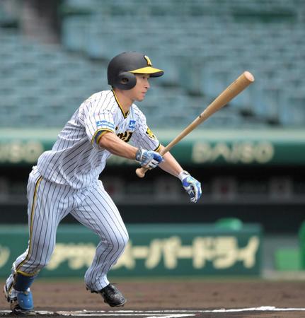 　シート打撃で安打を放つ近本（撮影・北村雅宏）