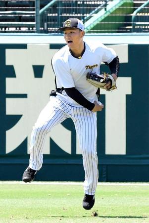 　右翼の守備でスローイングの感触を確かめる森下（撮影・高部洋祐）