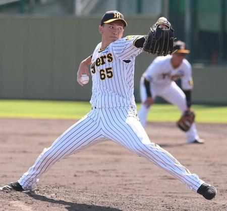 　力投する湯浅（撮影・石井剣太郎）