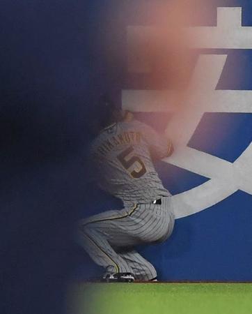 　７回、長岡の打球を好捕した近本（撮影・高部洋祐）