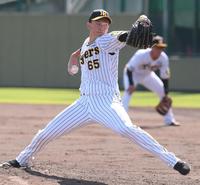 　力投する湯浅（撮影・石井剣太郎）