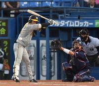 　３回、死球を受ける近本（撮影・棚橋慶太）