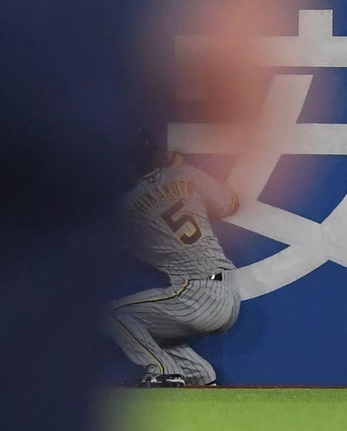 　７回、長岡の打球を好捕した近本（撮影・高部洋祐）