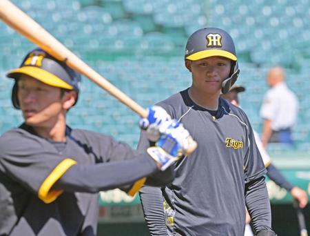 　近本（左）の打撃練習に見入る森下（撮影・立川洋一郎）