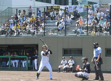 　４回、スタンド上段のフェンスに故・横田慎太郎さんのユニフォームか掛られる中で打席に立つ高山（撮影・北村雅宏）