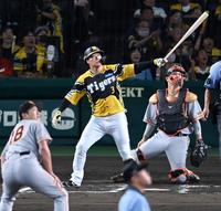 　６回、菅野から逆転２ランを放つ大山（撮影・飯室逸平）