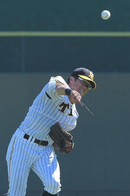 NPB公式バット　元阪神タイガース　横田慎太郎　使用　gate NPB公式バット 元阪神タイガース 横田慎太郎 使用 gate NPB公式バット