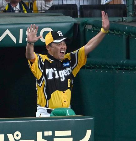　６回、ノイジーの生還にベンチで歓喜する岡田監督（撮影・飯室逸平）