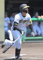 阪神タイガース 横田慎太郎　実使用　支給　公式戦　バット　貴重　練習　キャンプ ありがとう横田慎太郎】7/25巨人戦、甲子園球場で#横田慎太郎