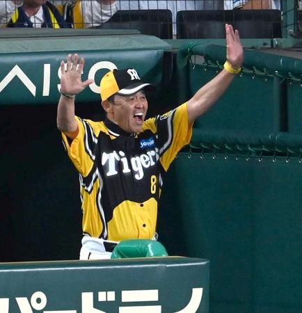 　６回、ノイジーの生還にベンチで歓喜する岡田監督（撮影・飯室逸平）