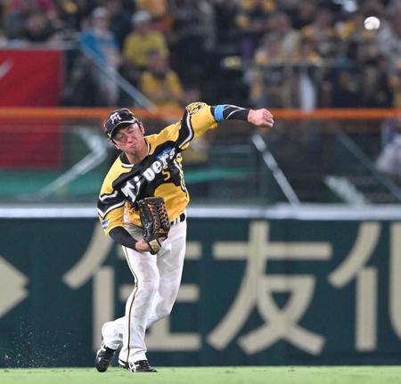 　６回、岡田の打球を処理し、本塁に送球する近本（撮影・高部洋祐）