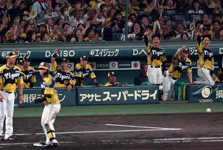 　６回、森下の適時打に盛り上がる阪神ナイン（撮影・山口登）