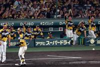 　６回、森下の適時打に盛り上がる阪神ナイン（撮影・山口登）