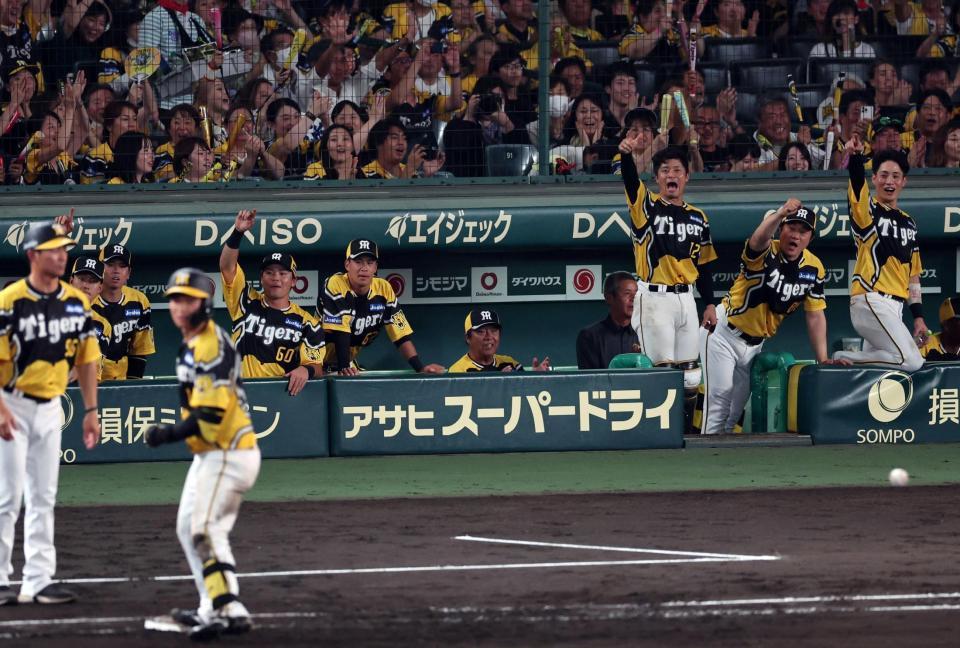 　６回、森下の適時打に盛り上がる阪神ナイン（撮影・山口登）