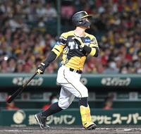 　６回、勝ち越しソロを放つ佐藤輝（撮影・高部洋祐）