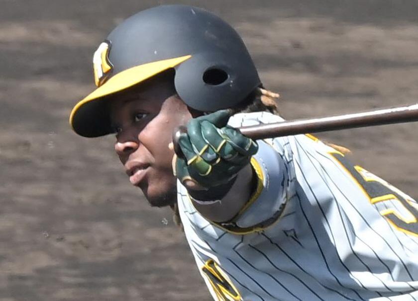 　阪神　ヨハン・ミエセス