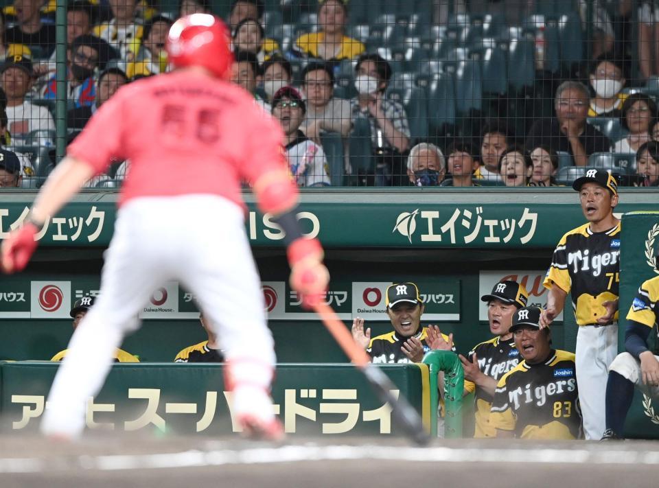 　延長１１回、松山（手前）が空振り三振に倒れ、ベンチで喜ぶ岡田監督（撮影・田中太一）