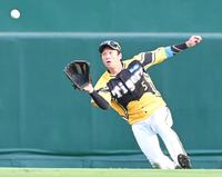 　１回、菊池の打球を好捕する近本（撮影・高部洋祐）