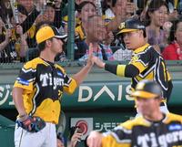 　６回、ノイジーの適時内野安打で生還し伊藤将（左）とタッチを交わす佐藤輝（撮影・立川洋一郎）