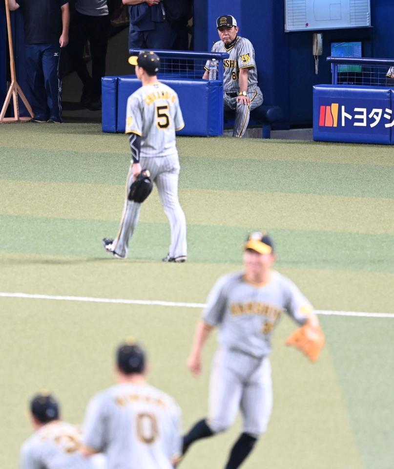 　ベンチでシートノックを見守る岡田監督（撮影・飯室逸平）