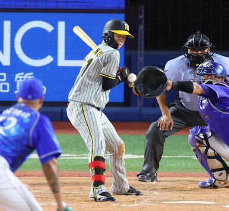 　７回、死球を受ける中野（撮影・吉澤敬太）