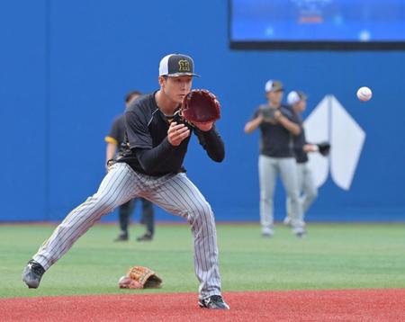 　試合前、ノックを受ける小幡（撮影・立川洋一郎）