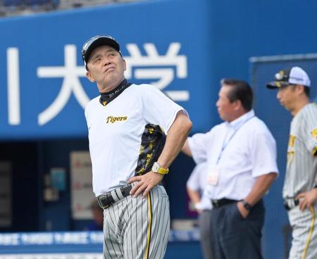　空を見上げて雨雲を気にする岡田監督（撮影・立川洋一郎）