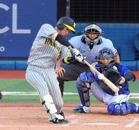 　３回、左前打を放つ近本（撮影・吉澤敬太）