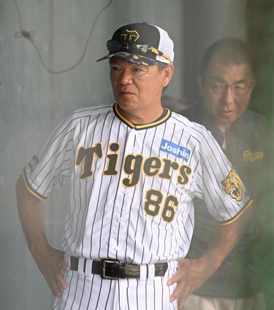 　ブルペンでブルワーの投球を見守った和田２軍監督（撮影・高部洋祐）