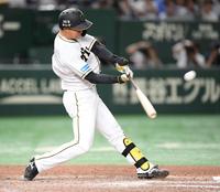 　８回、２ランを放つ森下（撮影・棚橋慶太）