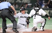 　８回、岡本和の安打で本塁に滑り込む秋広。捕手は梅野（撮影・棚橋慶太）