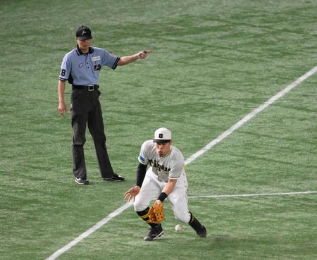 　３回、坂本の打球を失策する三塁手の佐藤輝（撮影・堀内翔）