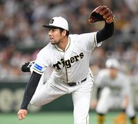 　８回、力投する加治屋（撮影・棚橋慶太）