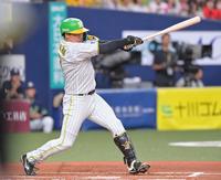 　２回、右前へ先制適時打を放つ大山（撮影・立川洋一郎）
