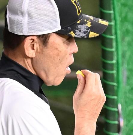 　パイン飴を食べる岡田監督（撮影・飯室逸平）