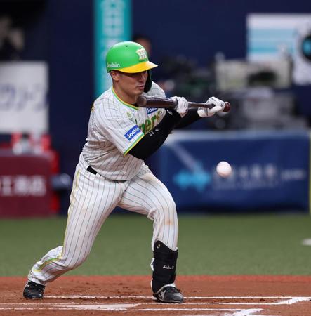 　６回、セーフティースクイズを決める坂本（撮影・山口登）