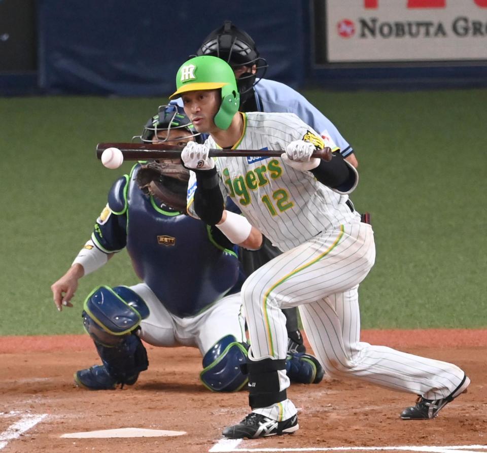 　６回、同点スクイズを決める坂本（撮影・飯室逸平）