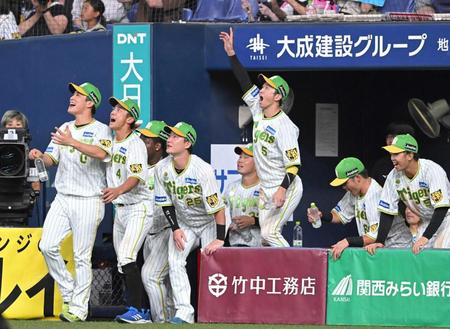 　１２回、佐藤輝の飛球にサヨナラを確信する阪神ベンチ（撮影・高部洋祐）