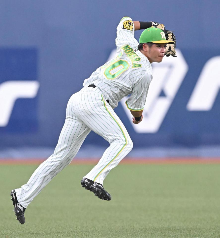 　試合前、左翼でシートノックを受ける小野寺（撮影・高部洋祐）