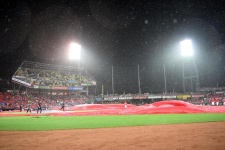 　４回、雨のため中断するマツダスタジアム（撮影・田中太一）
