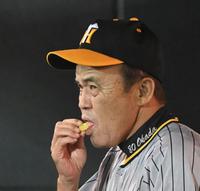 　４回の中断中、ベンチでパインアメを頰張る岡田監督（撮影・高部洋祐）