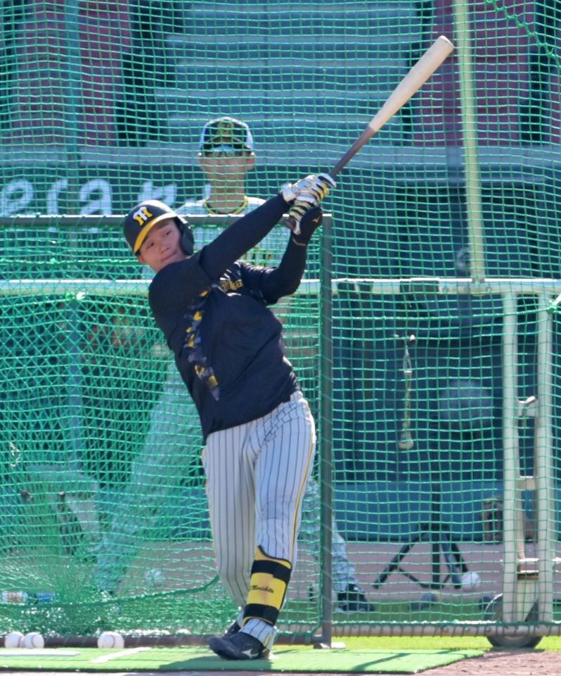 　フリー打撃で打ち込む森下（撮影・立川洋一郎）