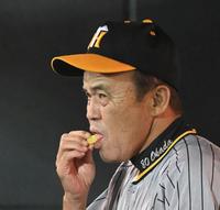 　４回の中断中、ベンチでパインアメを頰張る岡田監督（撮影・高部洋祐）