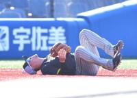 ボールが当たり、グラウンドに倒れ込む佐藤輝（撮影・西岡正）