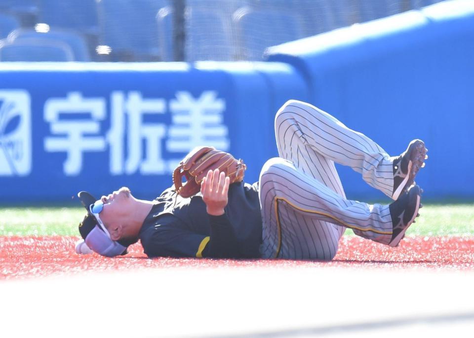 ボールが当たり、グラウンドに倒れ込む佐藤輝（撮影・西岡正）