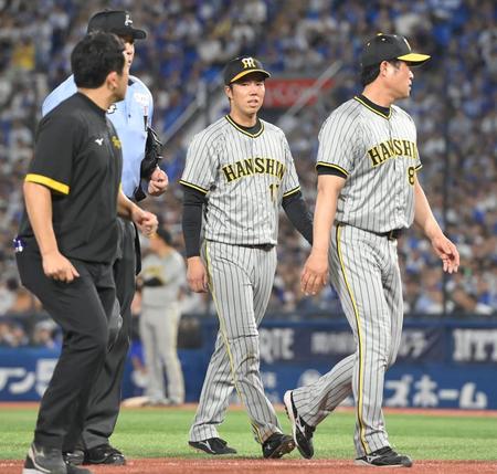 　６回、ベンチに下がる青柳（中央）＝撮影・高部洋祐