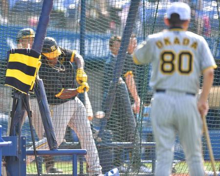 　岡田監督（右）が見守る中、打撃練習を行うミエセス（撮影・西岡正）