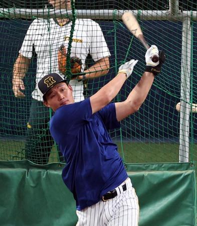 　早出特打をする森下（撮影・山口登）